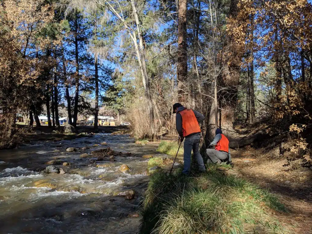 Post-fire restoration and revegetation